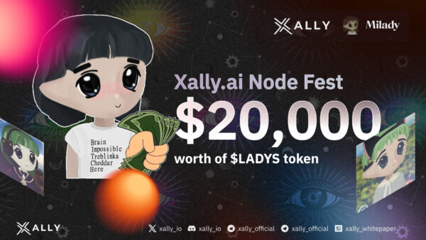 Xally Meme Fest: Dive Into Our $20,000 worth $LADYS Prize Pool!